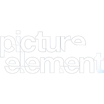 Picture Element